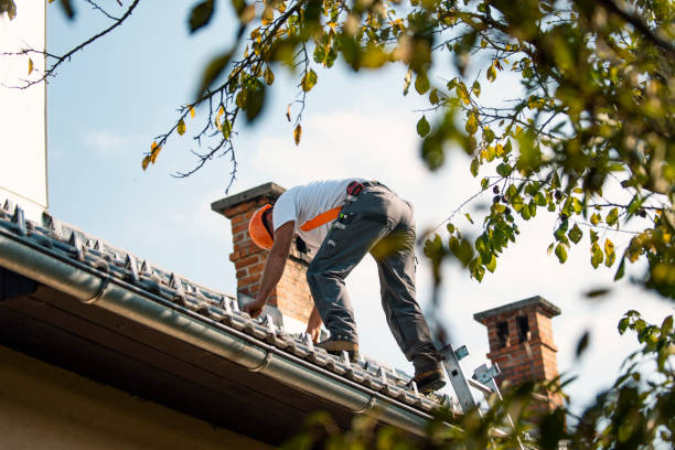 Best Roof Maintenance Services  in Osborne, KS